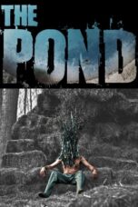 The Pond