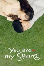Drama Korea You Are My Spring (2021)
