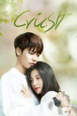 Drama China Crush (2021)