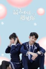 Drama China Nice to Meet You (2021)