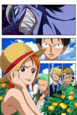 One Piece Episode of Nami: Tears of a Navigator and the Bonds of Friends (2012)