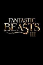 Fantastic Beasts 3 (2022)